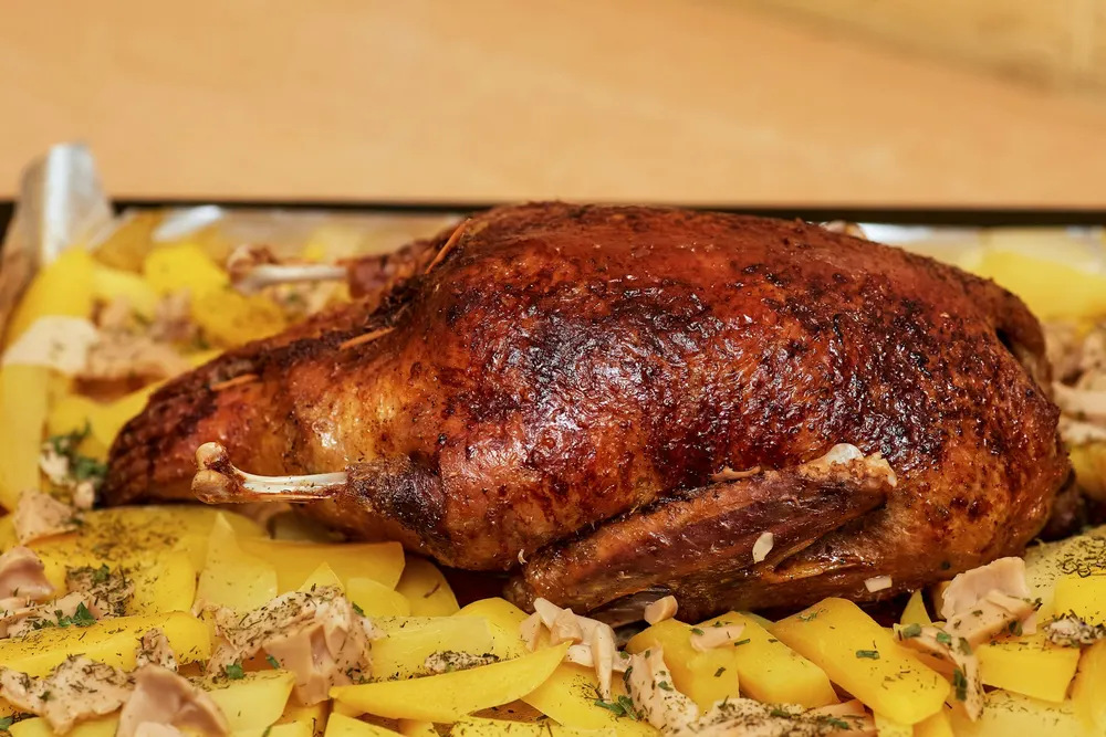 Dinde : viande blanche, au four, en blanquette ou sauté
