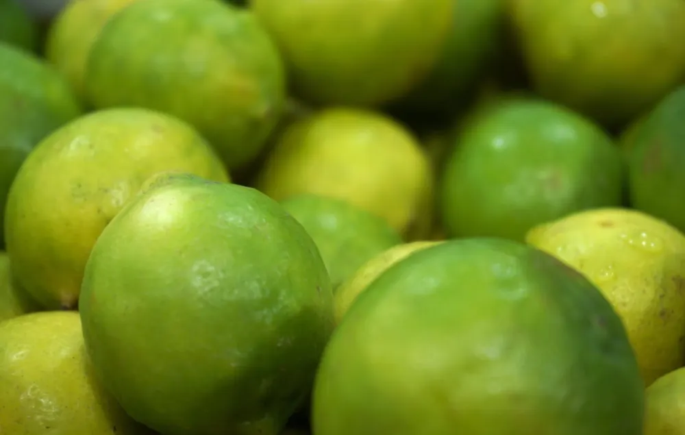 Le citron, l'allié minceur
