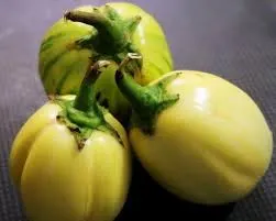 Les bienfaits de l'aubergine