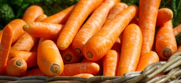Les bienfaits de la carotte: un légume aux multiples vertus pour la santé