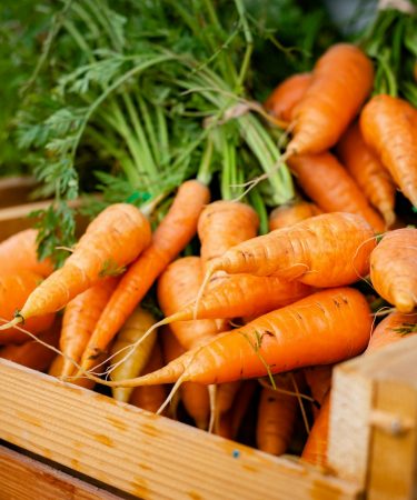 Des carottes crédit photo : @avid-holifield sur Unsplash