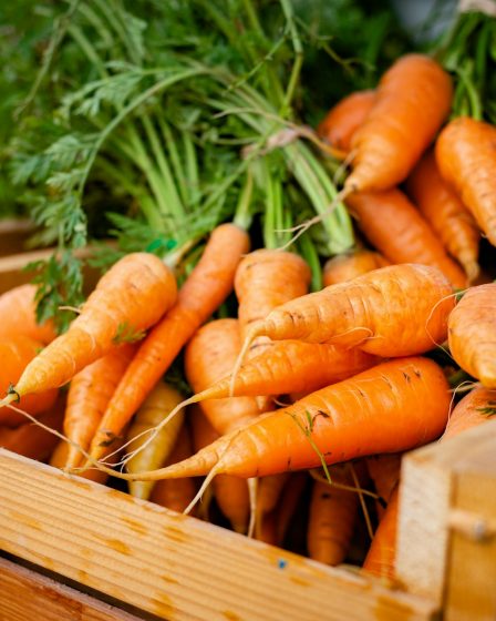 Des carottes crédit photo : @avid-holifield sur Unsplash