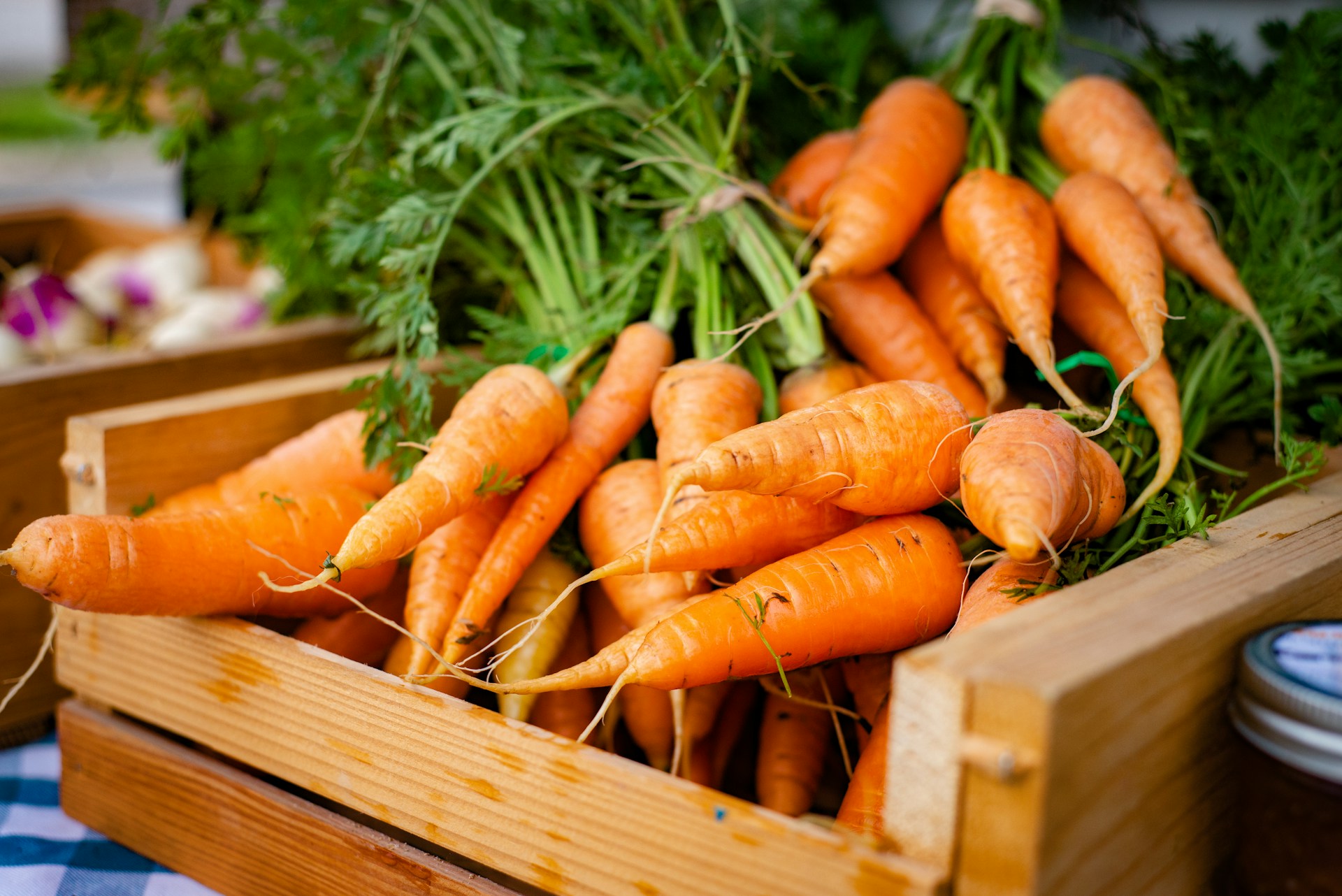 Des carottes crédit photo : @avid-holifield sur Unsplash