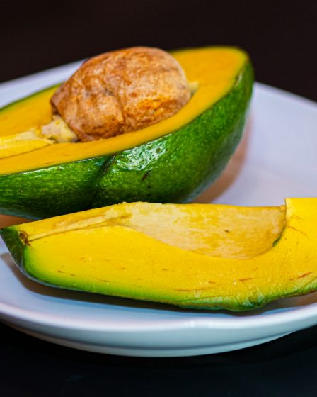 Avocat crédit photo: @stephen-bedase unsplash